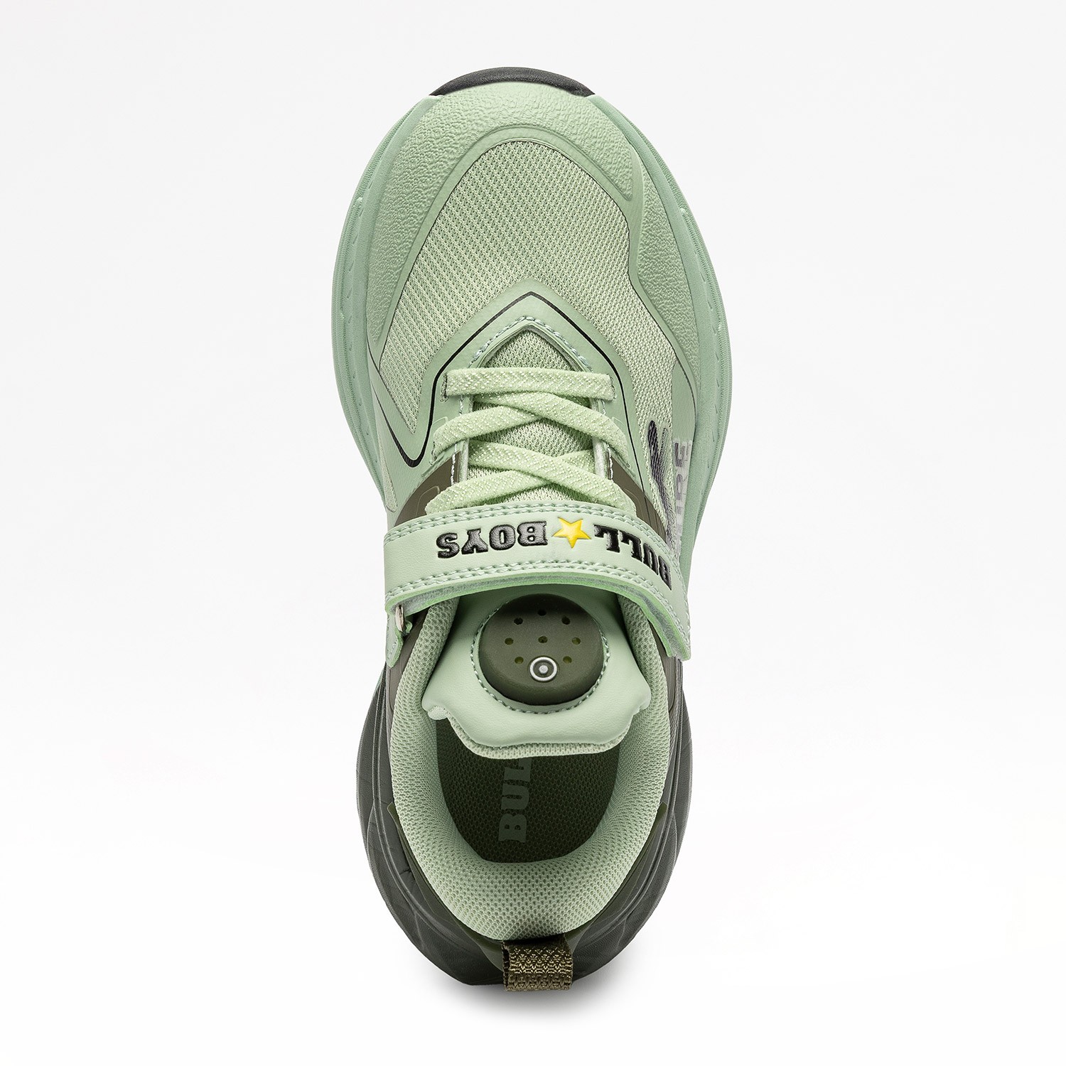 DINO-SCHELETRO T-REX