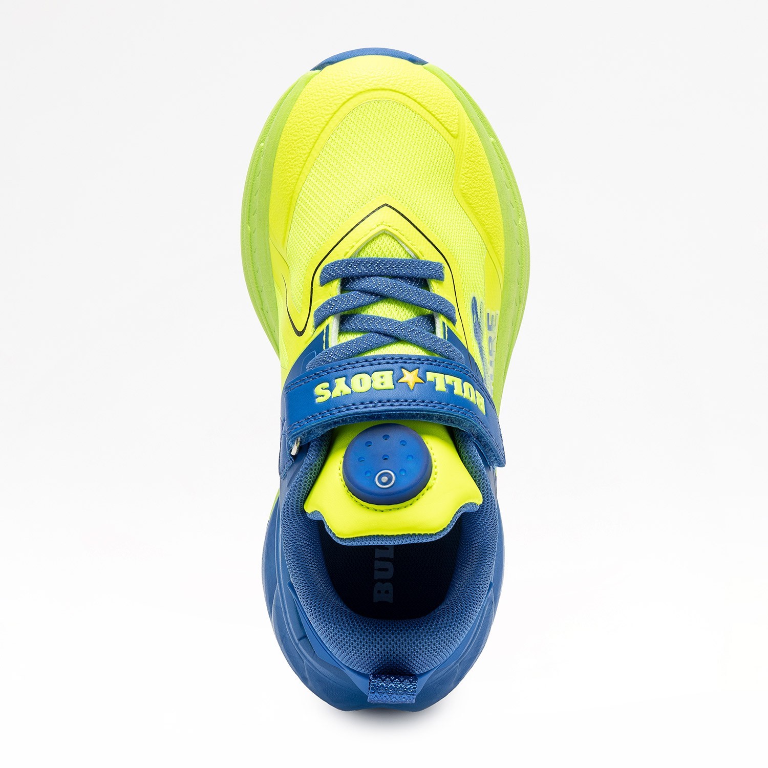 DINO-SCHELETRO T-REX