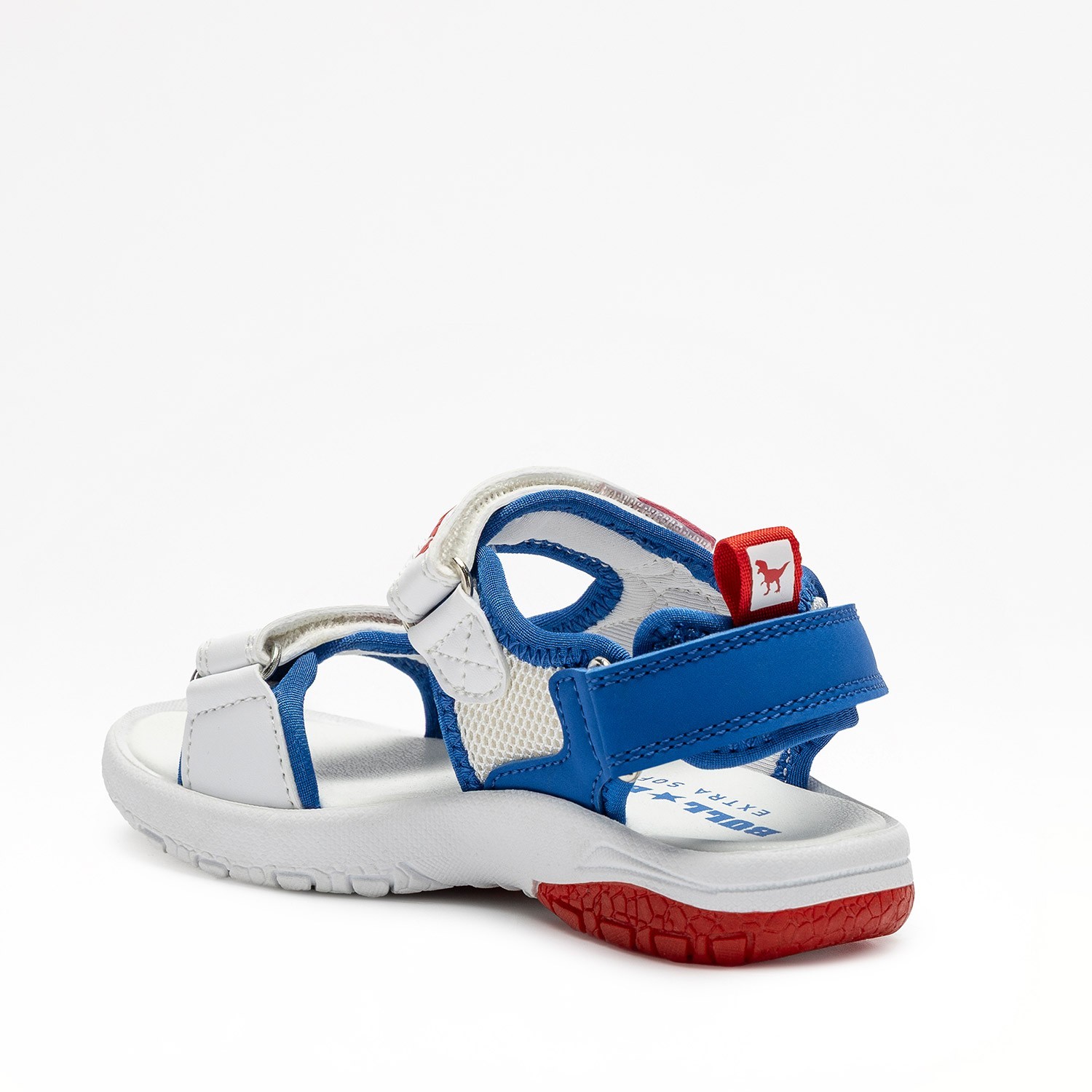 DINO-SCHELETRO T-REX