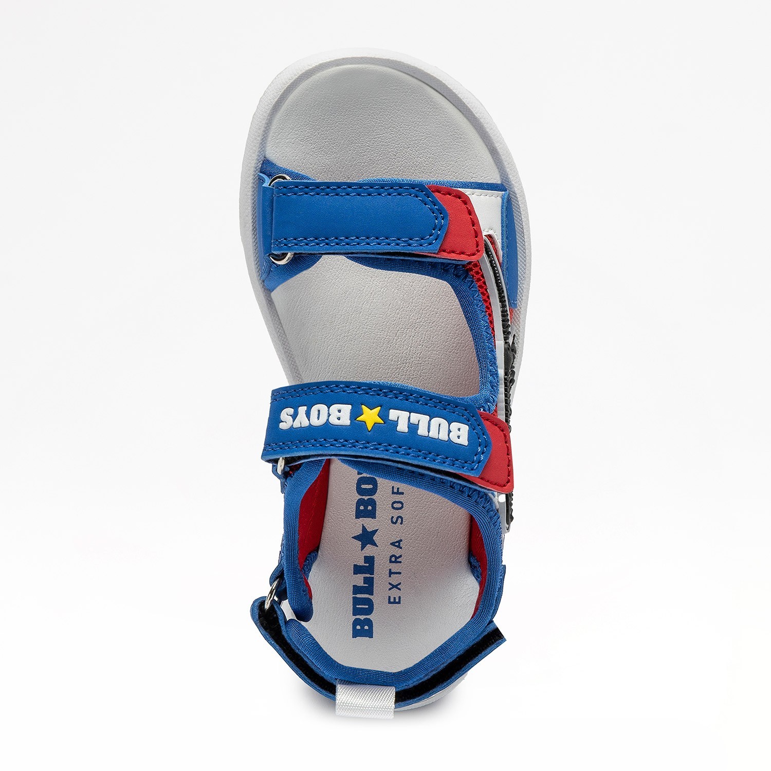 DINO-SCHELETRO T-REX