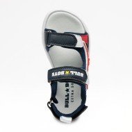 DINO-SCHELETRO T-REX