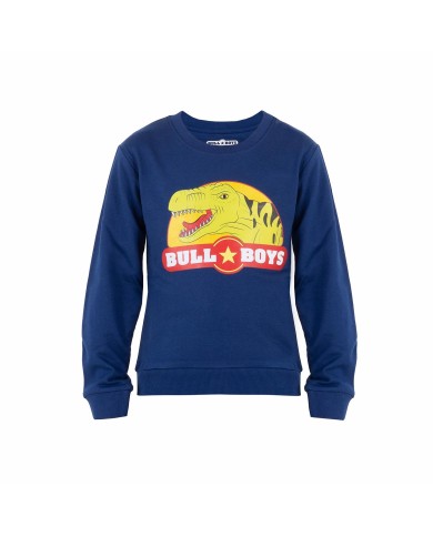 DINOSAUR SWEATSHIRT