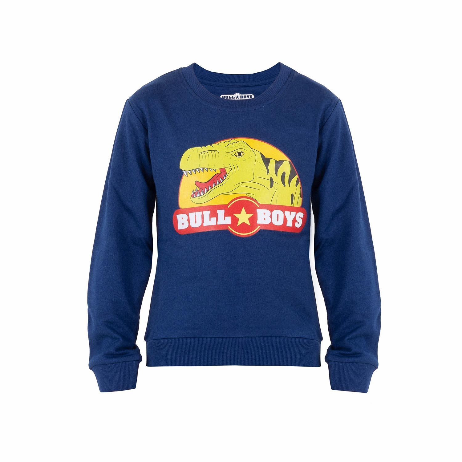 DINOSAUR SWEATSHIRT
