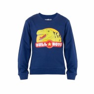 DINOSAUR SWEATSHIRT