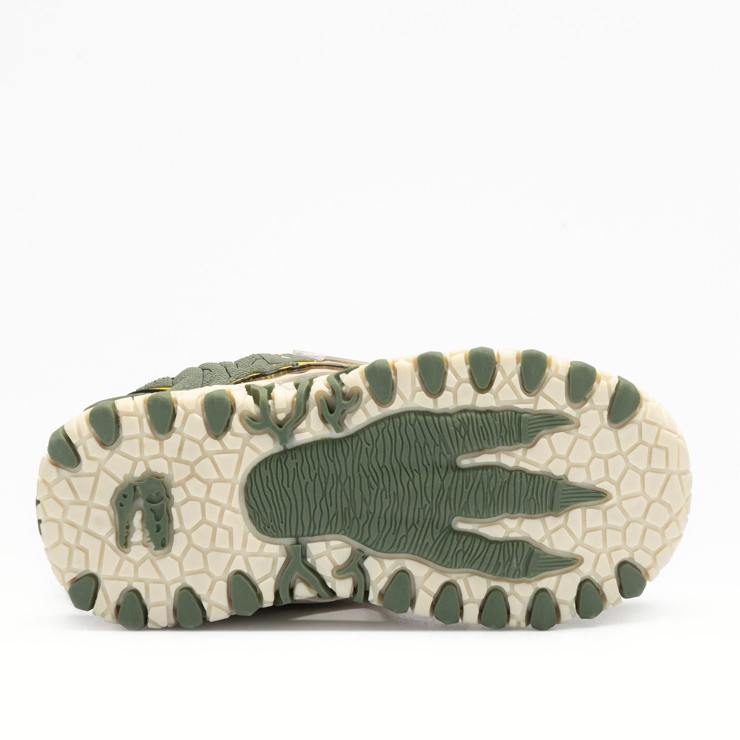 SPINOSAURUS