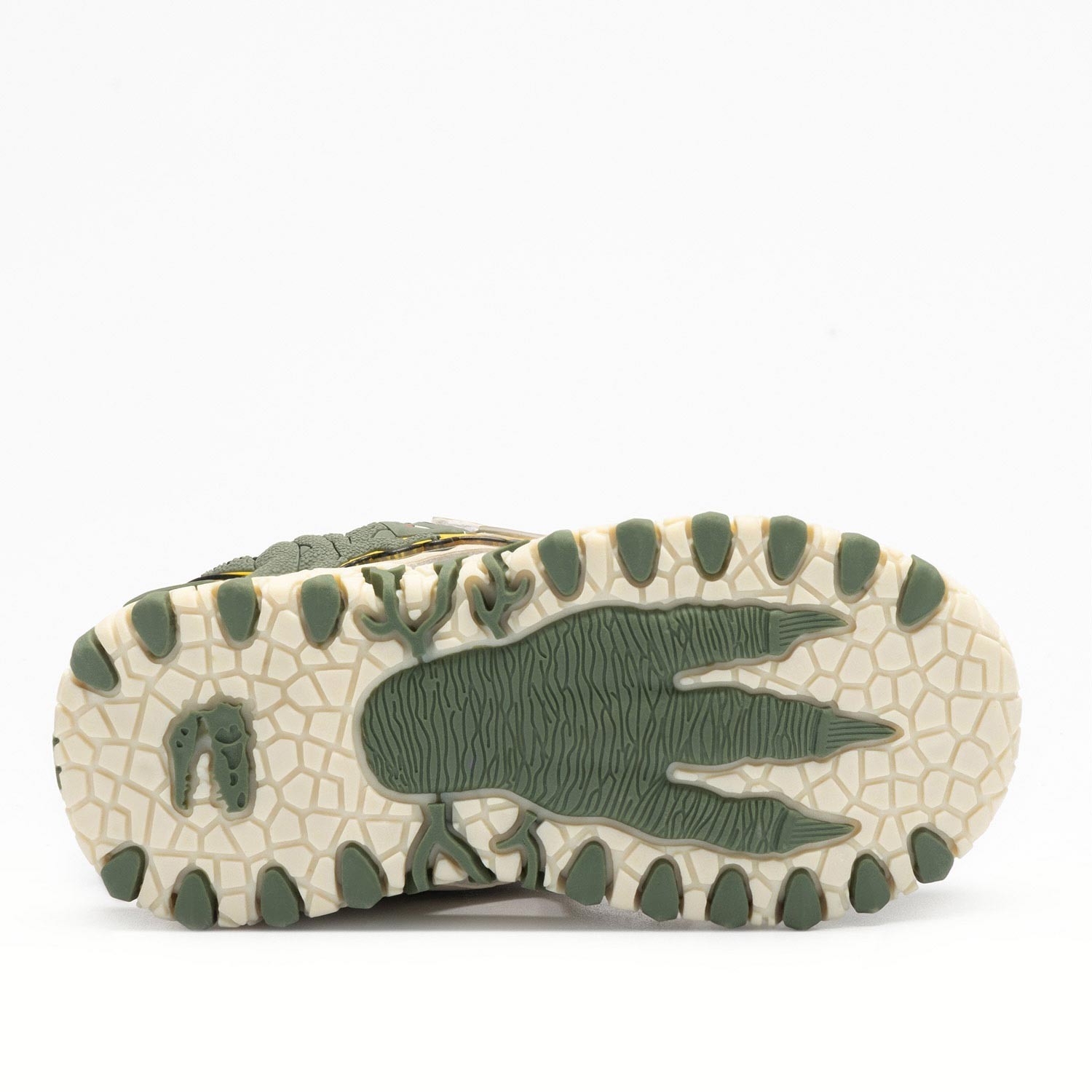 SPINOSAURUS