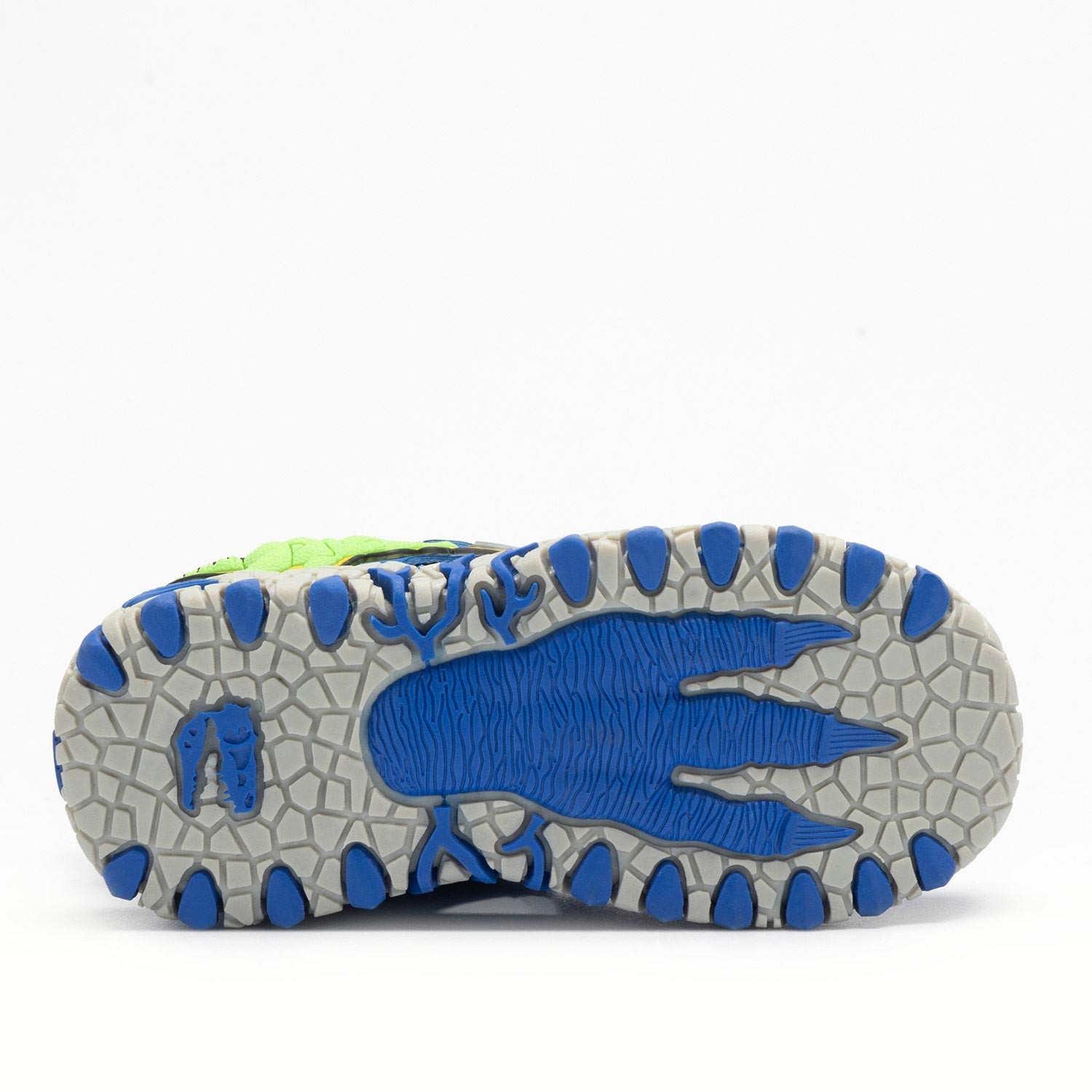 SPINOSAURUS