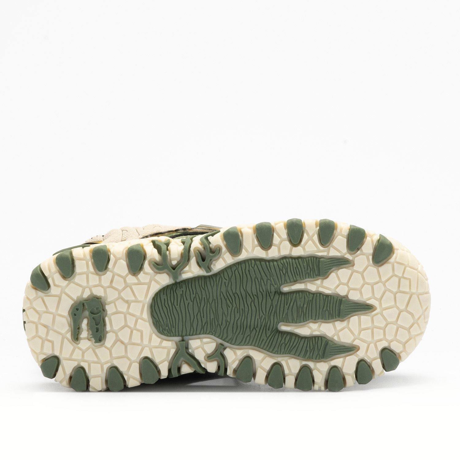 SPINOSAURUS