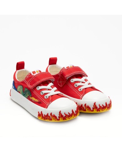 DRAGON CANVAS